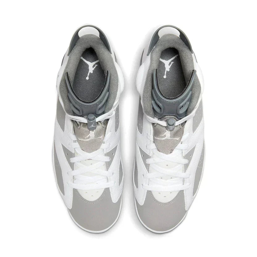 Air Jordan 6 'Cool Grey'
