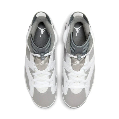 Air Jordan 6 'Cool Grey'